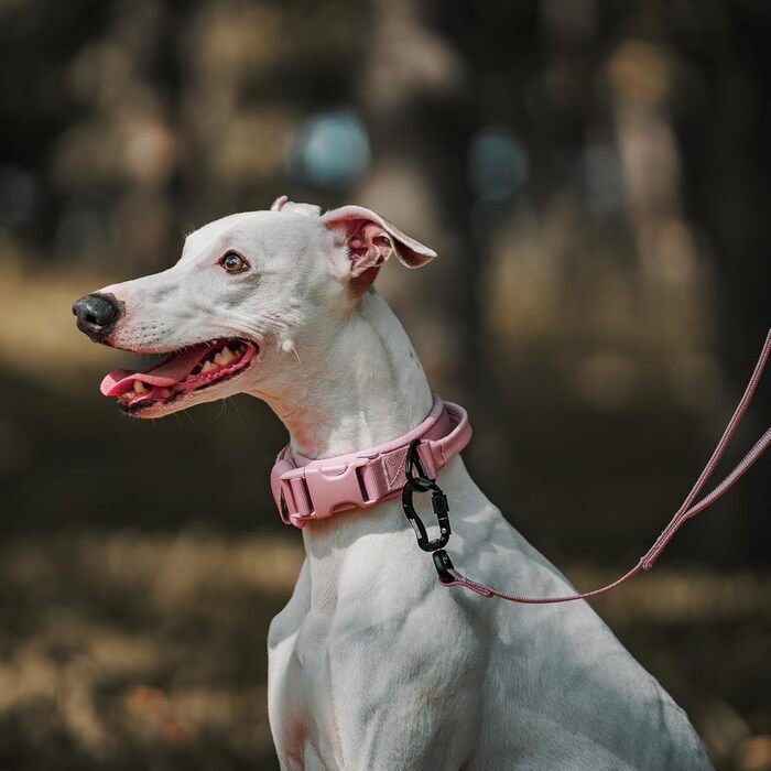 Нашийник для собак OneTigri, тактичний, м'який, з широкою кунттофчасною застібкою та кільцем з алюмінієвого сплаву, (30-40 см), рожевий, XS