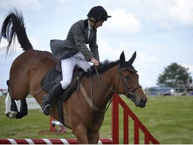 Наїзницька батогом для коней Jump Bat 18 дюймів з декором зі стразів. Кольори: чорний, синій, зелений, фуксія, рожевий, фіолетовий, червоний, жовтий