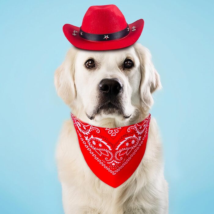 Ковбойський комплект для тварин: капелюх та бандана для собак та котів. Ідеально для святкування дня народження в мексиканському стилі та повсякденного носіння. Червоний, однотонний (Getaway Solids)