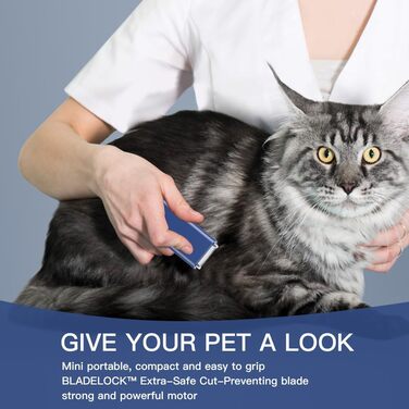 Електричний міні-набір для догляду за котами, акумуляторний, Type C, бездротова машинка для стрижки шерсті котів з матовим покриттям, легка, для кошенят/цуценят/кроликів/маленьких тварин, блакитний