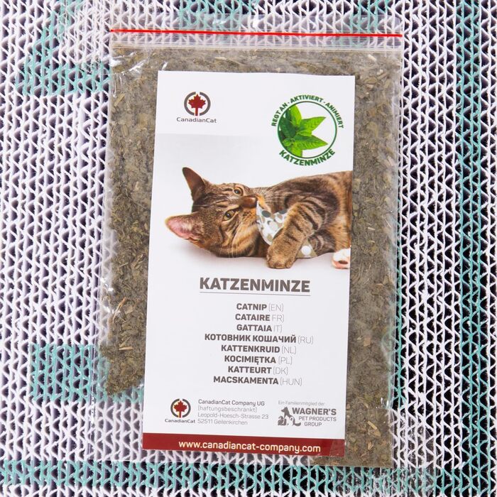CanadianCat Company Кігтеточка для котів MEGA SPARPACK XXL Orbit і Satellite 2.0, набір з котячою м'ятою, якісний картон, бірюзова, 2 кігтеточки