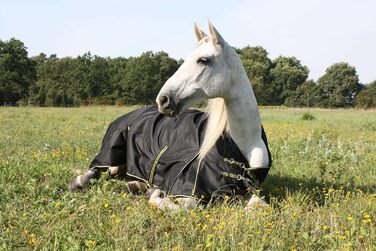 Зимова кінська попона time4horses з високим коміром, утеплена 200 г, водонепроникна, 1200D