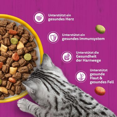 Сухий корм для дорослих котів Whiskas з куркою, 3.8 кг (набір з 5 пачок по 800 г)