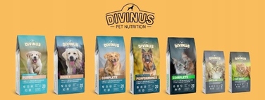 Повний сухий корм для дорослих собак Divinus Dog з вітамінами, 20 кг