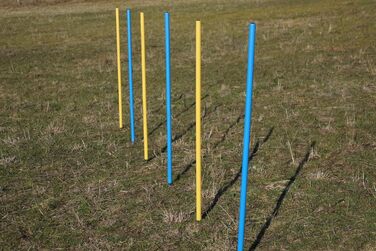 Набір для тренувань Wuzzmann Agility: Slalom з гнучких стійок (синьо-жовтий)