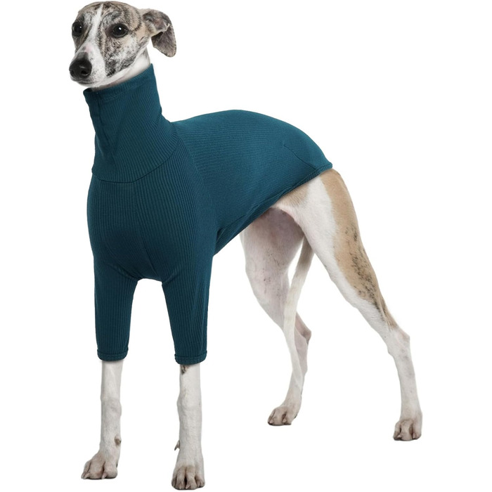 Теплий плед-пуловер для віндхунда (Greyhound) та породистих собак, зимова куртка, блакитний, XXL