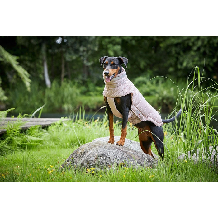 Вольтерс Степова куртка Cosy, розмір 46 см, колір: тауп