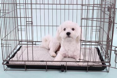 Кігтеточка Фламінго Енес – сіра, середнього розміру (90 см), компактна кігтеточка та місце для відпочинку для котів! (ENES GRAU S 42x42x56CM)