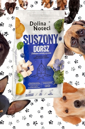 Преміум корм для собак Dolina Noteci з тріскою, 9 кг