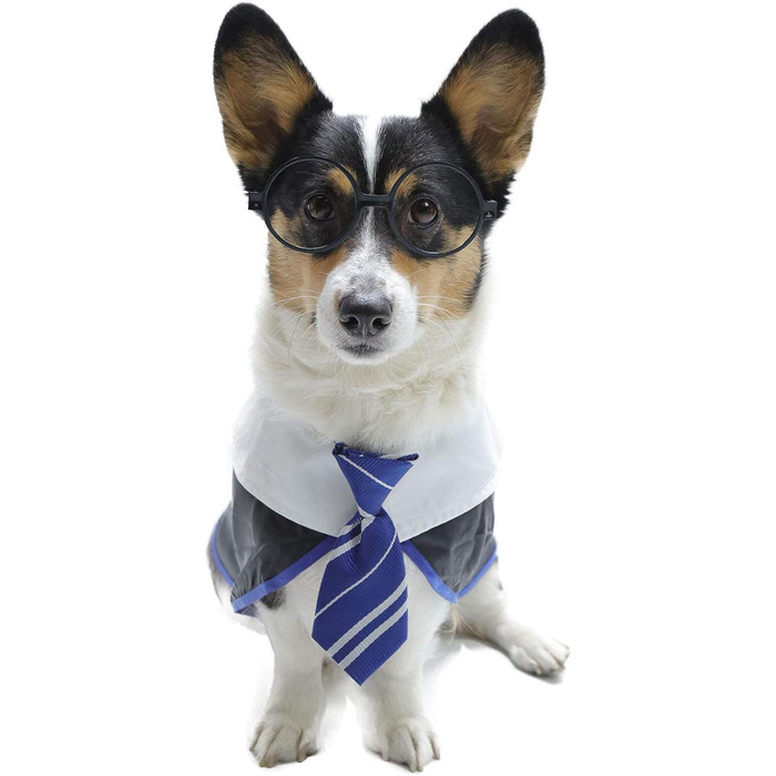 Сорочка для собак на Хелловін Impoosy, кумедний костюм кота-чаклуна, мила одяг з окулярами (розмір M, обхват шиї: 35,6 см), блакитний