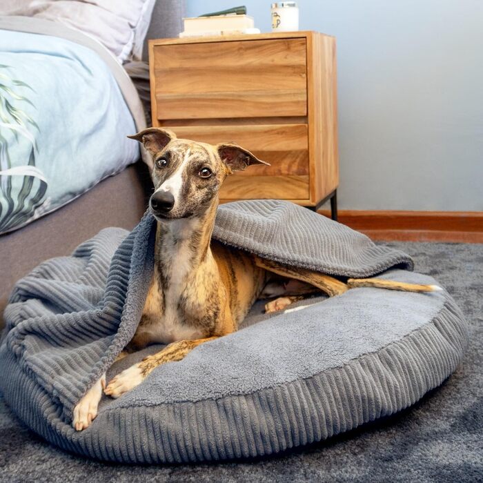 4L Textil Hundebett Vigo з капюшоном: ліжко-печера для собак, ковдра, корзина, ліжко-мішок, подушка з корду, середні породи (Сірий, 90x90x12 см)