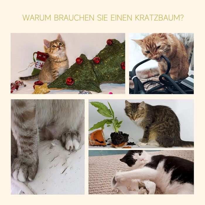 Високий когтеточка PawHut для котів, регульований по висоті, стабільний котячий комплекс із сизалевими стовпчиками, сірий, 40x34x230-260 см