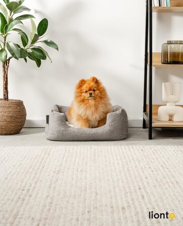 Крісло-лежанка для собак та котів Lionto з м'яким двостороннім подушкою, 60x50 см, сірого кольору