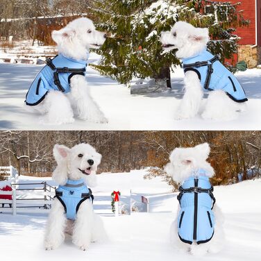 Водонепроникний зимовий одяг для собак Poseca з інтегрованим нашийником, теплий, для маленьких, середніх та великих собак, блакитний