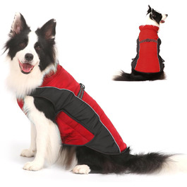 колір: гниль