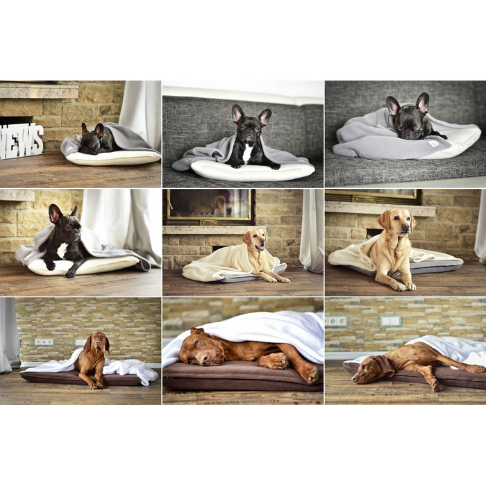 М'яке собаче ліжко з підстілкою кремового та сірого кольорів 110 x 100 см - затишок та спокій для собак завдяки м'якому ліжечку та підстилці для дому та подорожей