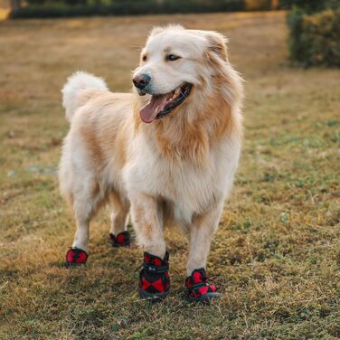 Взуття для собак Arblina Outdoor: водонепроникне, з регульованою застібкою, захист подушечок лап, для малих, середніх та великих собак