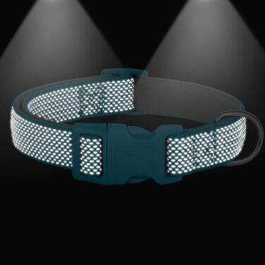 Світловідбиваючий нашийник для собак Didog з пряжкою, регульований, м'який неопрен, з підкладкою, нейлон, для малих, середніх та великих собак, L (M: обхват шиї 25-43 см, блакитний)