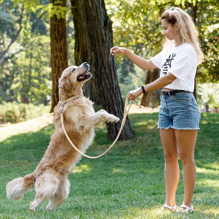 Шкіряний ошийник для собак CollarDirect, круглий, м'який, з роликом, ручної роботи, з натуральної шкіри, чорний, червоний, фіолетовий, синій (бежевий), розмір 15-18 см