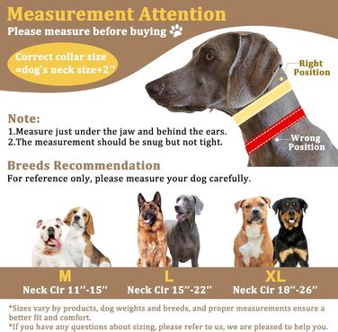 Нашийник для собак від тяги Mayerzon Martingale, світловідбиваючий, для великих та середніх порід (Пітбуль, Малінуа, Доберман), з пряжкою