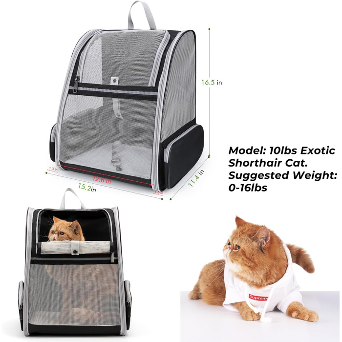 Рюкзак для собак та котів Lollimeow: дихаюча сітка, схвалено авіаперевізниками, для подорожей та прогулянок