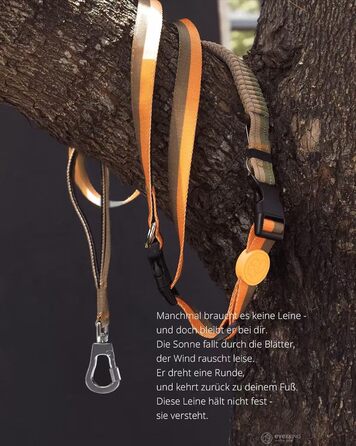 EVERKING 6-в1 повідок для собак з жилетним поясом – повідь для бігу та прогулянок для малих та великих собак – з 2 ручками, антишокова пружина, кріплення для авто, тягнуча повідець та альтернатива шлейці (Синій, Сірий) Синій, Хакі (Жовтий, Коричневий)