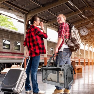 Транспортна переноска для котів та собак PETCUTE, сіра, для подорожей, кемпінгу, з регульованим плечовим ременем, розкладний дизайн