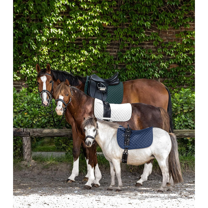 Підіймяник WALDHAUSEN Felix, etty (синій, SH)