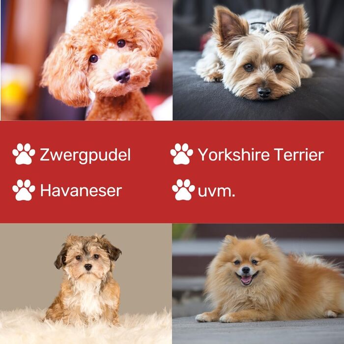 Ножиці для собак EHASO, нержавіючі, 17 см, матові