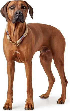 Нашийник для собак HUNTER Sansibar Rantum, сучасний, морський стиль, бежевий, розмір M-L