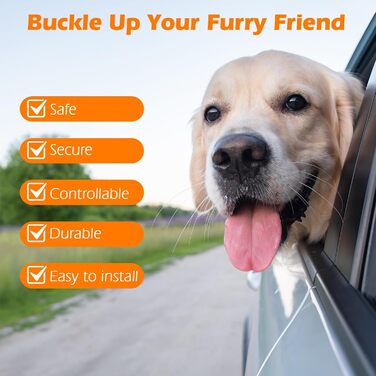 Ремінь безпеки для собак PetBonus в авто: міцний поводок-переноска для маленьких, середніх та великих собак (чорний)