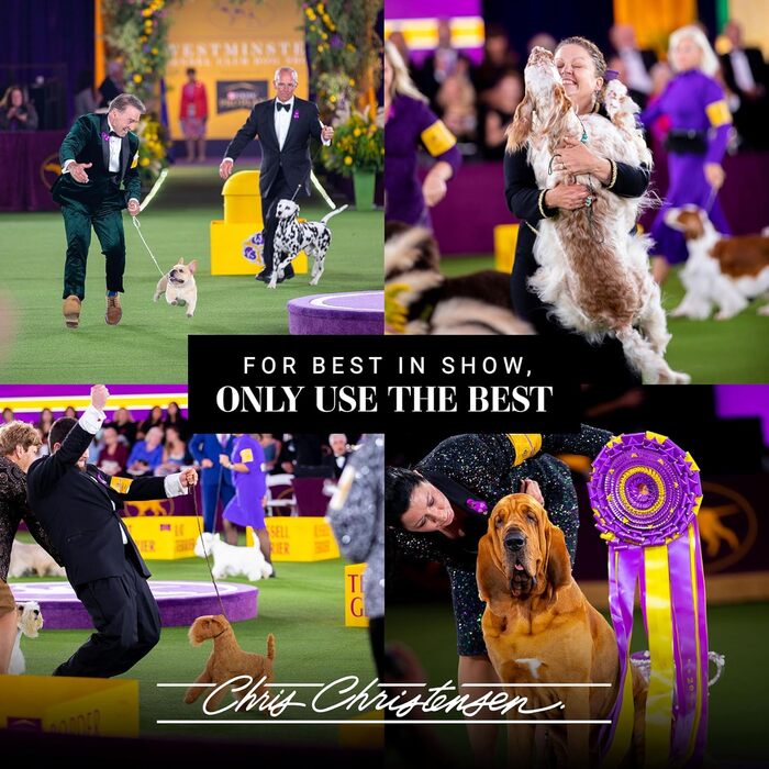 Овальна щітка для тварин Chris Christensen Gold Series 35 мм