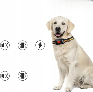 GPS-трекер для собак P810+