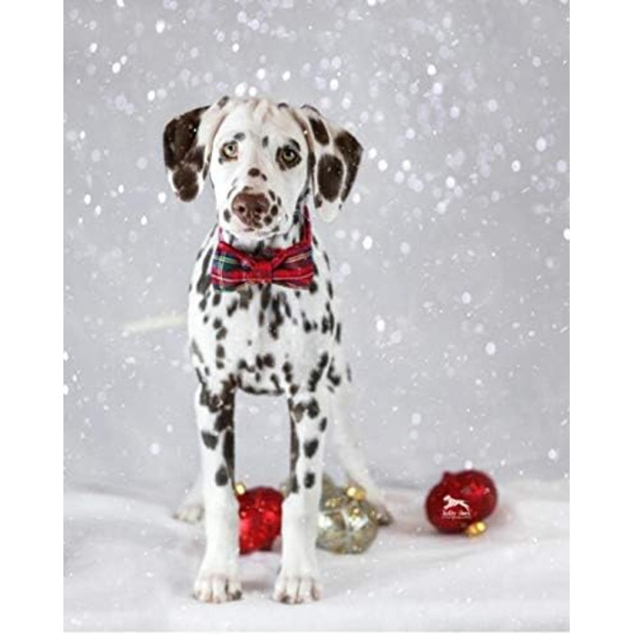 Нашийник для собак Unique Style з бантиком, регульований, для собак та котів, червоний, XXS-XL