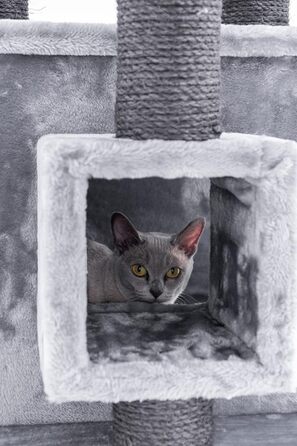 Дизайнерський котячий дряпак Petrebels Cleopatra 134 см, преміум-якість, сіра XL лежанка, котяча хатка, стовпи Ø9 см