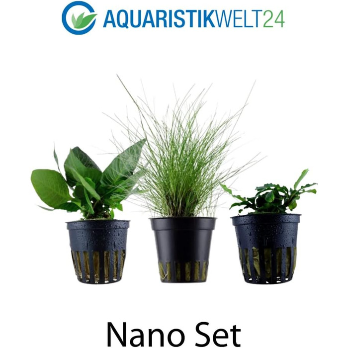 Набір акваріумних рослин AquaOne: 3 шт. для нано-акваріуму, стеблова Hygrophila, почвопокривна Eleocharis