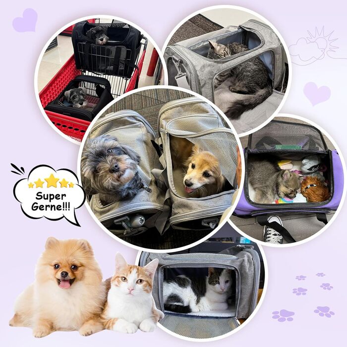 Транспортна сумка для кота та собаки, переноска для собак, складана переноска для котів, портативна переноска для тварин, 5 кг, для середніх собак та котів (Зелений, фіолетовий)