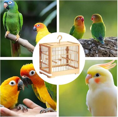 Переносний клітка-переноска для птахів: канарейок, хвилястих папужок, ара, ньомуфенсиків. Оранжева, 32 x 25 x 13 см