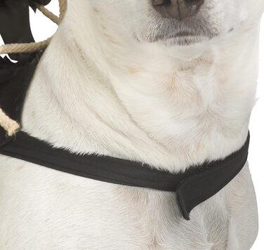 Костюм для домашніх тварин Fun World Ghost Face Rider, чорний, розміри L, XL