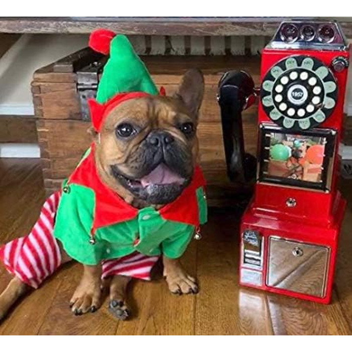 Костюм собаки та ельфа Midlee, розмір L (Large)