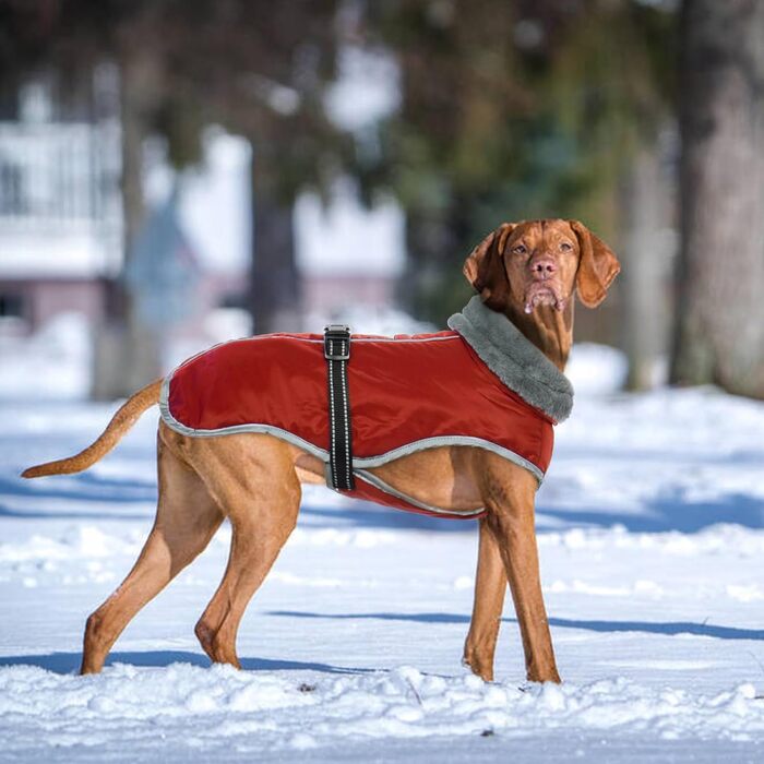 Водонепроникний теплий зимовий одяг для собак середніх порід, червоний, XL - куртка для собак