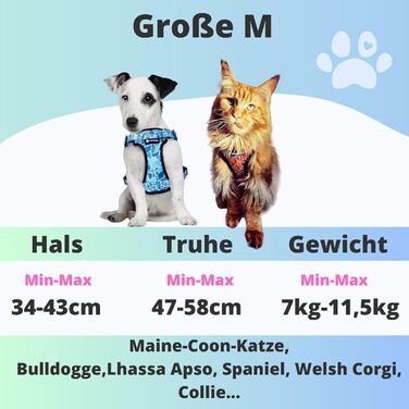 Шлея для малих і середніх собак та кошенят Maine Coon, антидрайвова, регульована, м'яка, дихаюча, у подарунковій коробці, синя, розмір M (7-11,5 кг)