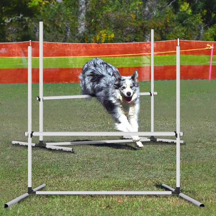 Набір для аджиліті для собак Froadp Agility Set: 4 перешкоди, регульована висота, 104x70x101 см, білий