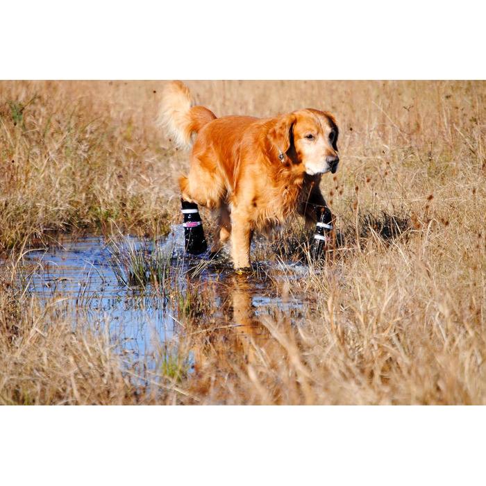 Чоботи для будь-якої погоди, Неопрен, захист лап, з відбиваючими ременями, 5 розмірів (багатобарвні, розмір M)