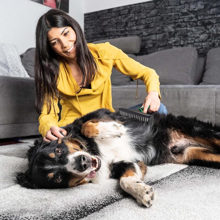 Трігер для собак та котів: щітка-розпушувач, гребінець для видалення підшерстя