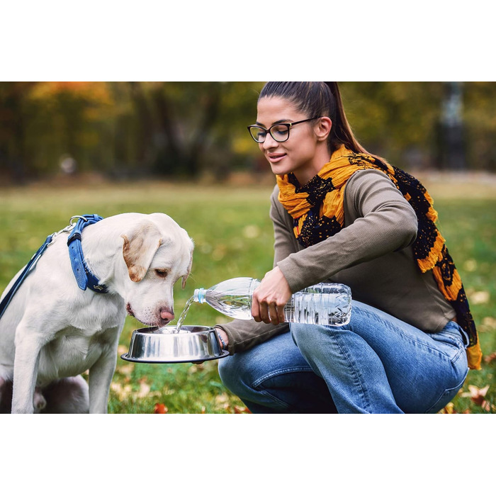 Набори мисок для котів VORX з нержавіючої сталі з антиковзким гумовим дном, 15 см, 3 шт.