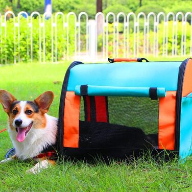 Рюкзак для кота та собаки, переноска для тварин, туристичний рюкзак для маленьких собак та котів