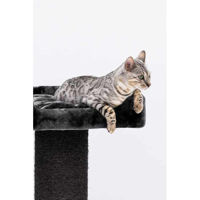 Когтеточка для великих котів Petrebels Maine Coon, 117 см, преміум-якість, стовпи Ø20 см, чорна