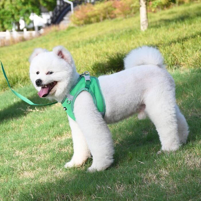 Нашийник та поводок для цуценят, комплект для прогулянок, нашийник-трансформер, м'який, дихаючий, аксесуари для домашніх тварин, світловідбиваючі смуги, для дуже маленьких собак та котів, XXXS (Обхват грудей: 8.5 - 10 см), Зелений, XXXS