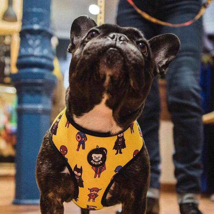 Dukier двостороння шлейка для собак Superdog, XS, з двостороннім принтом